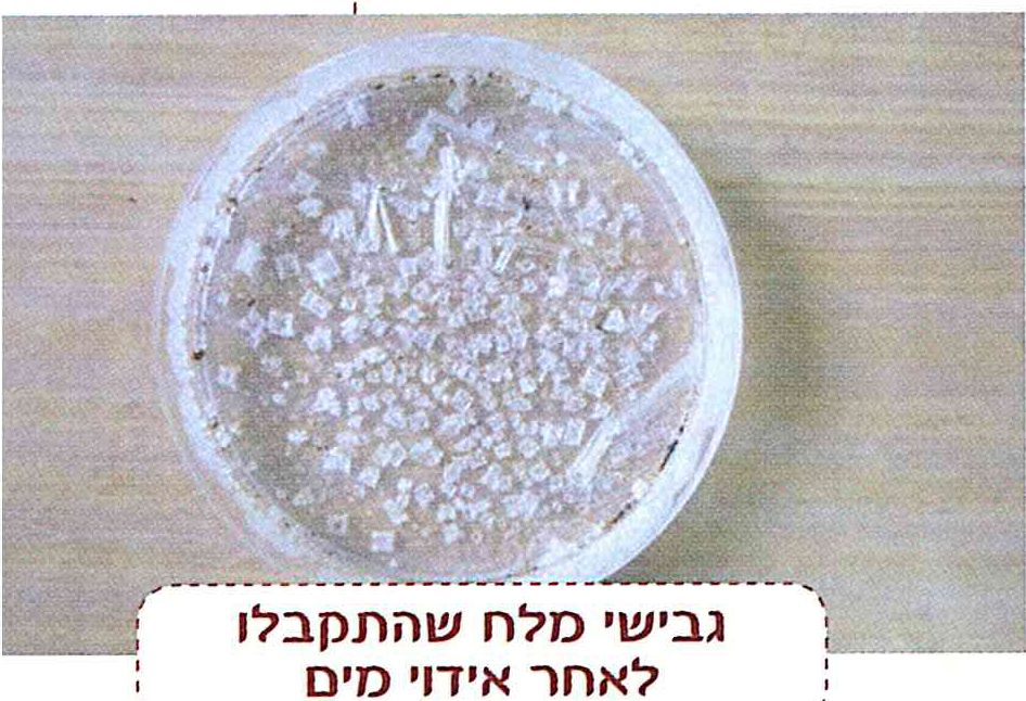 (בספר תמונה)